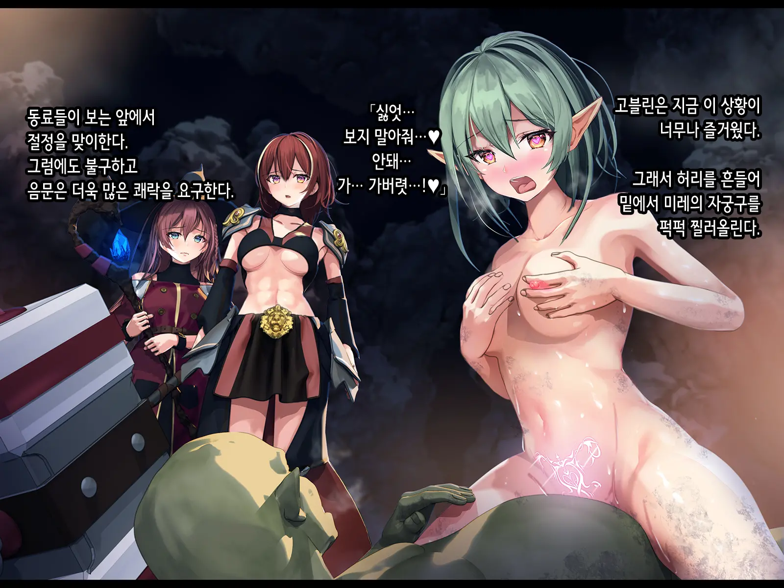 Half Elf Wa Goblin Snyou No Harami Bukuro To Shite